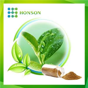 Tea Polyphenols