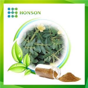 Tribulus Terrestris Extract Saponis