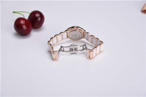 Elegant lady’s ceramic & stainless steel watch