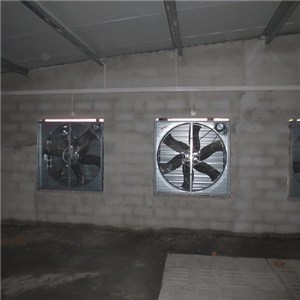 1000mm Centrifugal Exhaust Fan