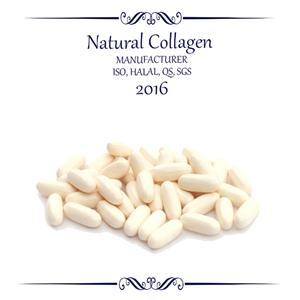 Collagen Capsule