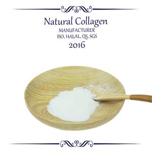 Fish Collagen