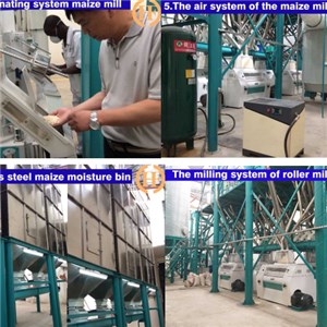 Uganda Corn Flour Plant 150T Per D