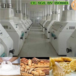 Brazil Wheat Roller Mill 200T Per 24h