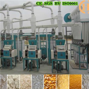 Algeria Corn Milling Process 20T Per 24h