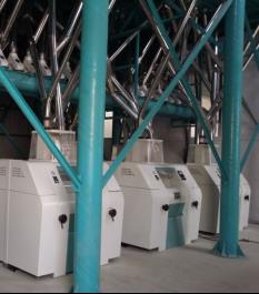 Uganda Corn Flour Machine 100T Per D