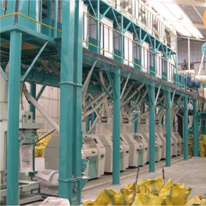 Zimbabwe Maize Flour Process 80T Per D