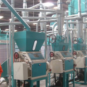 Zambia Maize Mill Machine 30T Per D