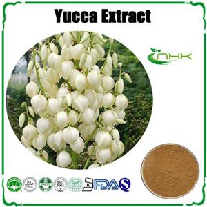 Yucca Extract