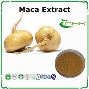 Maca Extract