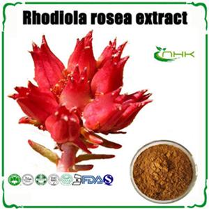 Rhodiola Rosea Extract