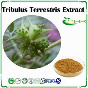 Tribulus Terrestris Extract