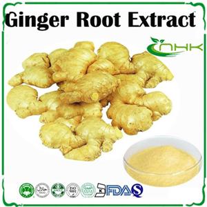 Ginger Root Extract