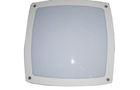 1600 Lm Oval LED External Bulkhead Lights For Indoor / Outdoor 3000K - 6000K