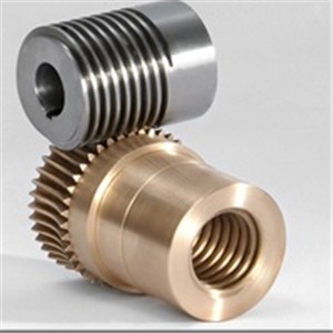 Custom Worm Gears