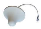 Ceiling Dual Band Cell Phone Amplifier Antenna For Signal Booster , Roof Mounted