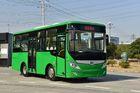 Professional Public City Bus 7.6 meters Green Color local bus transportation