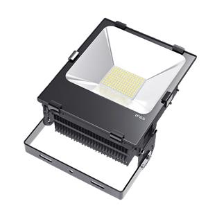 100W LED Flood Light