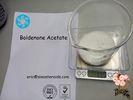 Bodybuilding Raw Steriod  Hormone Powder Boldenone Acetate 2363 - 59 - 9