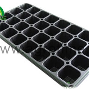 Seed Tray