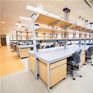 Steel And Wooden Laboratory Bench