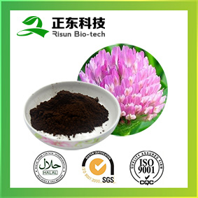 Red Clover Extract