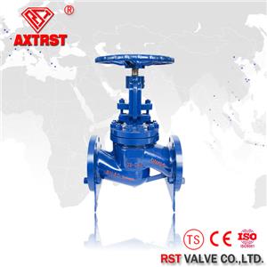 Stainless Steel Flange Ends DIN F1 Standard Globe Valve PN10~PN100