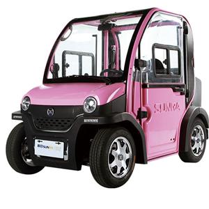 VIMI Electric Mini Car