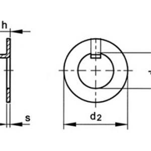 Internal Tongue Tab Washer