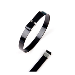 Type L Stainless Steel PPA High Pressure Cable Ties