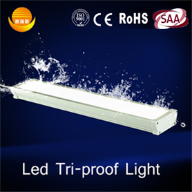 4ft Waterproof Led Lights