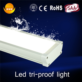 2ft Waterproof Led Lights