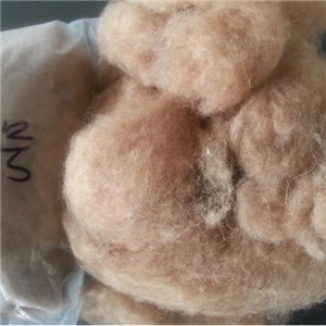 Camel Hair Fibers