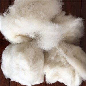 Carded Sheep Wool