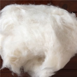 Dehaired Cashmere Fine Micron