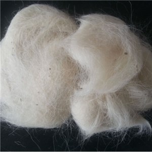 Goat Wool Waste