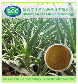 Aloe Vera Extract