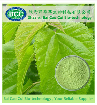 Mulberry Leaf Extract