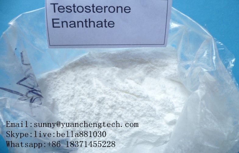 99% Raw Hormone Testosterone Enanthate for Muscle Building