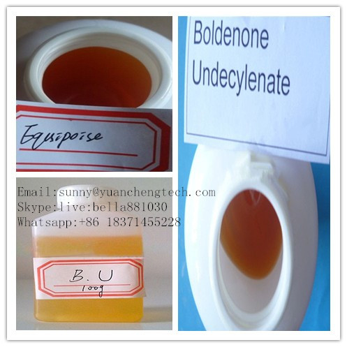 Quality Raw Material Liquid Pharmaceutical Chemicals Boldenone Undecylenate