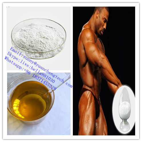 Quality Raw Material Liquid Pharmaceutical Chemicals Boldenone Undecylenate