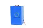 Eco Friendly Lithium Iron Phosphate Motorcycle Battery With BMS 200*220*430 mm