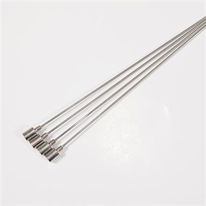 Dermal Needle With Reinforced Cannula