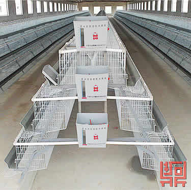 3 Tiers of 120 Birds Layer Cage