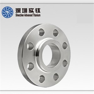 Titanium Pipe Flange