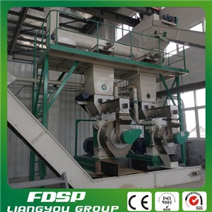 FDSP manufacturer lost cost maintenance wood shavings pellet production line
