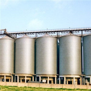 Coal Silo Bulk Grain Silo Finished Products Storage Silo for Port Industry