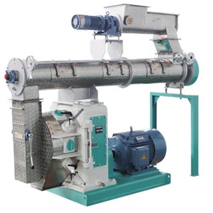 FDSP the china famous brand poultry pellet processing machine price