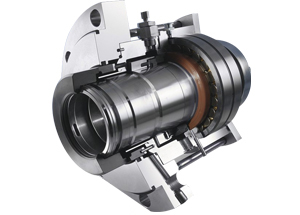 Enactus -MR-D Burgmann MR-D Replacement