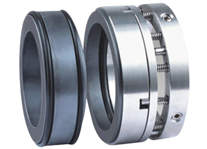 Enactus -ROA Flowserve RO Mechanical Seal Replacement